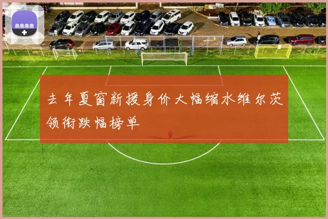 去年夏窗新援身价大幅缩水维尔茨领衔跌幅榜单