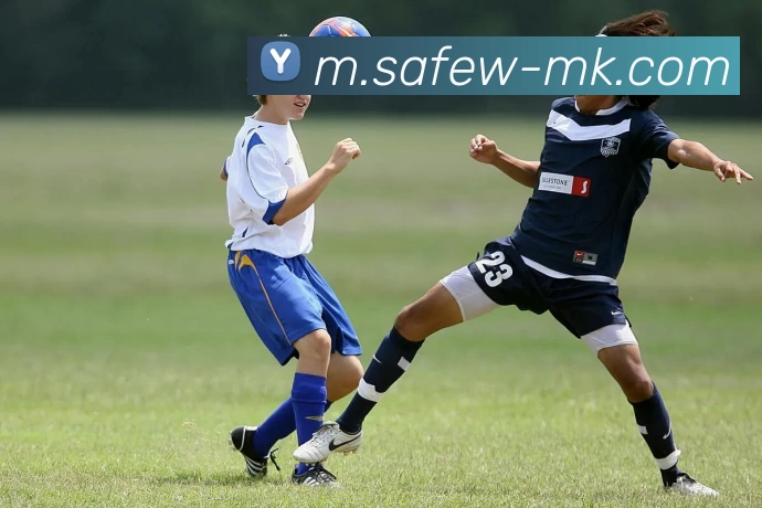 MK体育平台生态图